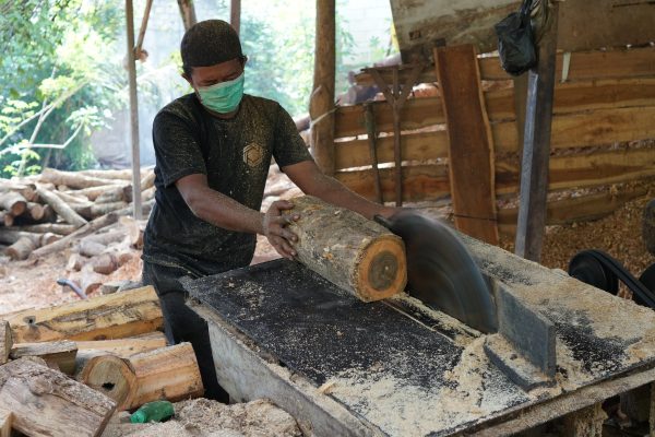 kayu jati ramah lingkungan